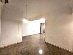 Banyan Condominium (D5), Condominium #580718641